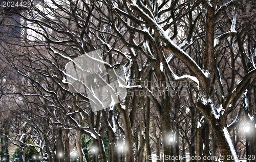 Image of An Old Park Mystery. Central Park NY