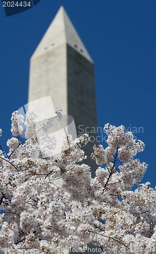 Image of Washington monument on sunny day