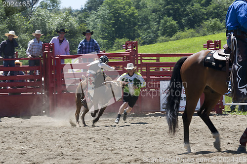 Image of Rodeo