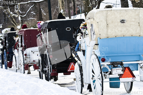 Image of Horse Carriages