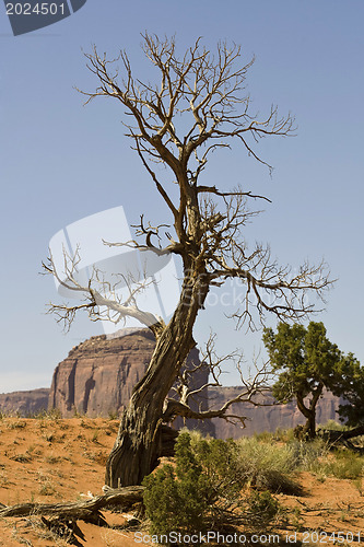 Image of Monument Valley. USA