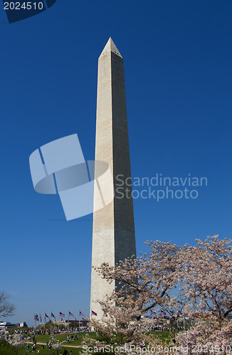 Image of Washington monument on sunny day