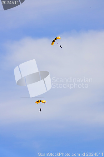 Image of Flying parachutists on sky 