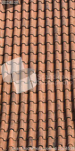 Image of Prague. Red roofs- Background