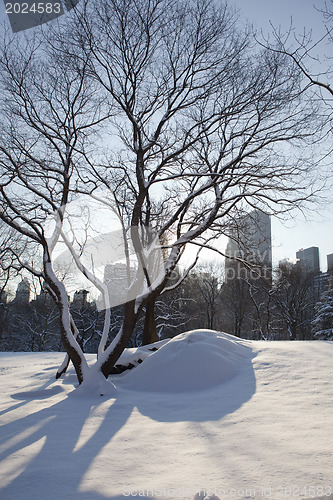 Image of Central Park, New York. Beautiful park in beautiful city. 