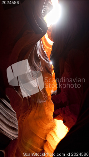 Image of Scenic canyon Antelope