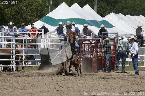 Image of Rodeo