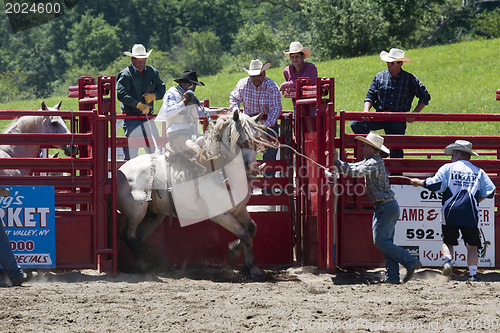 Image of Rodeo