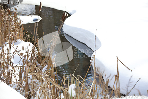 Image of Stream in winter park