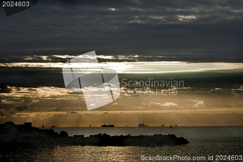 Image of Pelicans on rock in the morning 