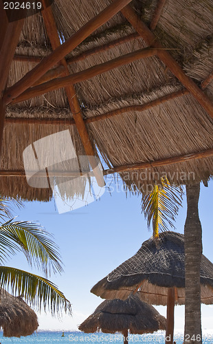 Image of Straw umbrellas on Caribbean beach