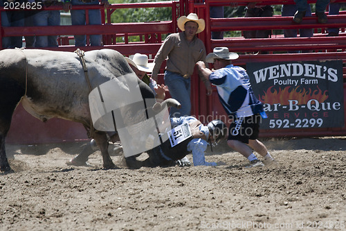 Image of Rodeo