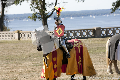 Image of Ready to fight knight