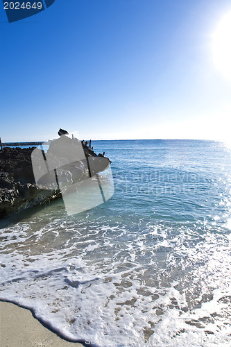 Image of Pelicans are sitting on rocks 