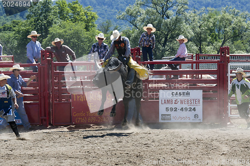 Image of Rodeo