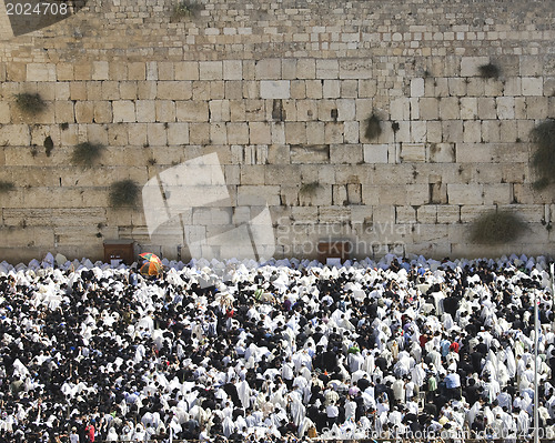 Image of Blessing Cohen at the Western Wall in the Sukkot holiday in Jeru