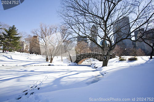 Image of Central Park, New York. Beautiful park in beautiful city. 