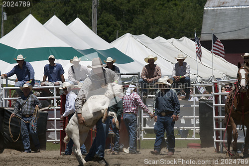 Image of Rodeo