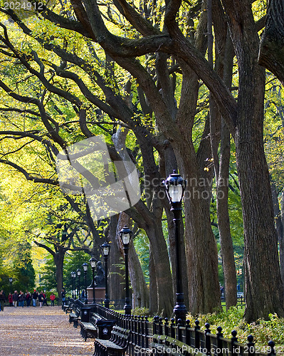 Image of Central Park