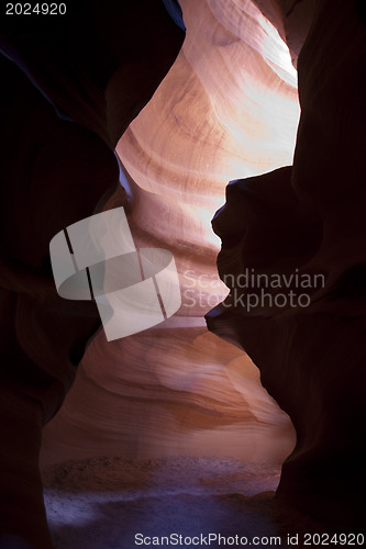 Image of Scenic canyon Antelope