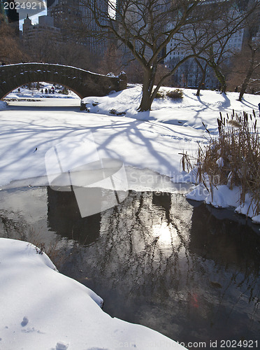 Image of Central Park, New York. Beautiful park in beautiful city. 