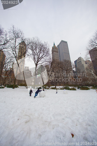 Image of Snow in New York City