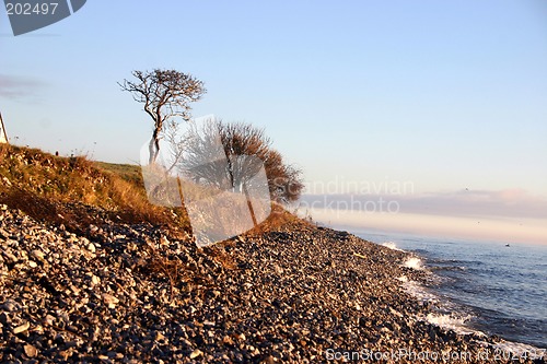 Image of coast in sweden