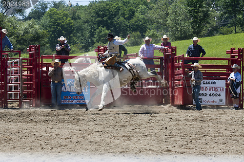 Image of Rodeo