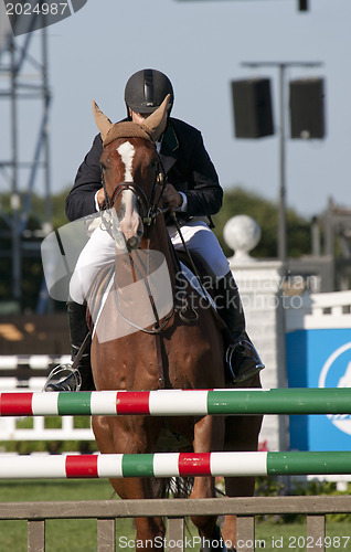 Image of show jumping 