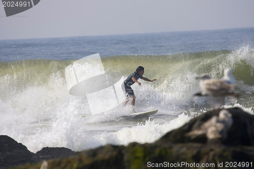 Image of Backlit surfer