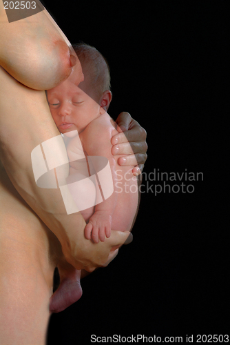 Image of baby und bauch | baby and bell