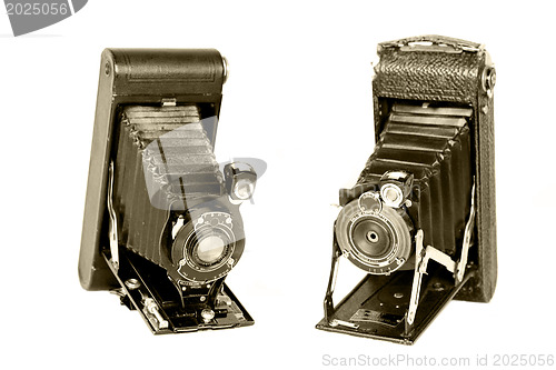 Image of Vintage folding cameras