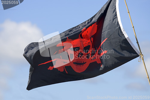 Image of Pirat's flag