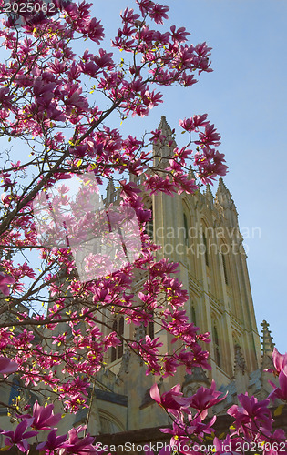 Image of Washington national cathedral