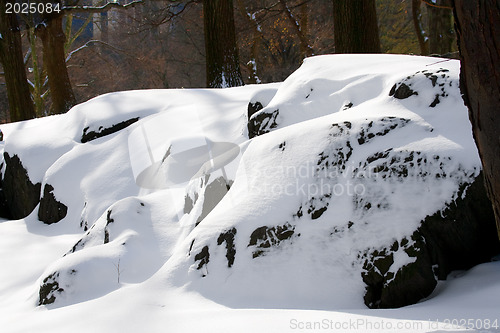 Image of Snowy rock in Central Park Manhattan