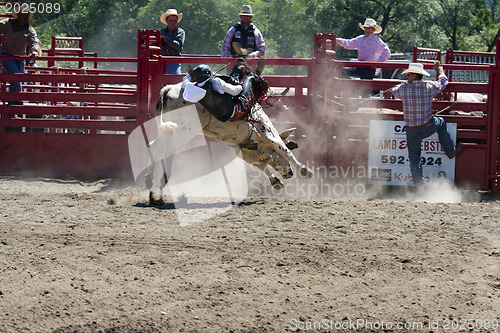 Image of Rodeo