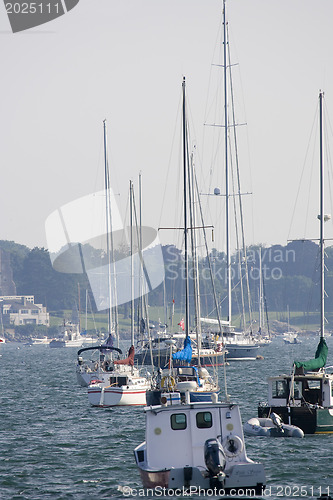 Image of Newport Rhode Island Harbor 