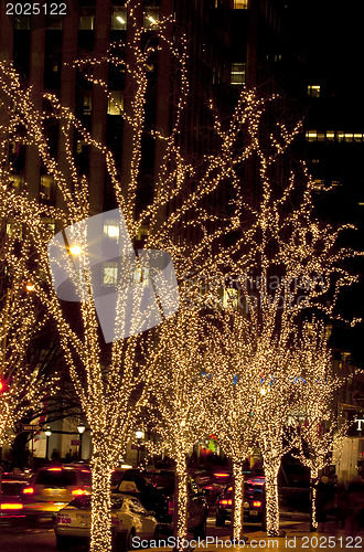 Image of Christmas. Illuminated trees.
