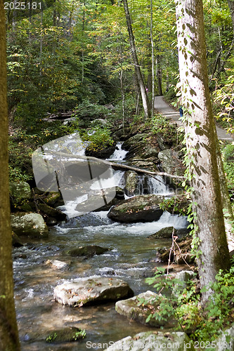 Image of Forest waterfall in Helen Georgia.