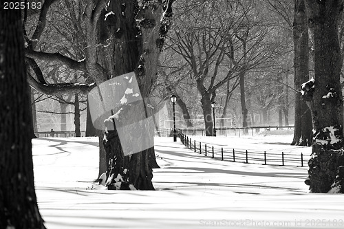 Image of Central Park, New York. Beautiful park in beautiful city. 