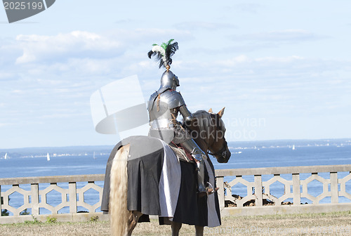 Image of Medieval Knight 