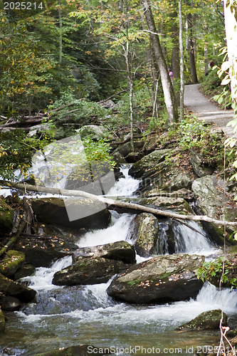 Image of Forest waterfall in Helen Georgia.