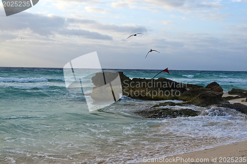 Image of Pelicans flying over rocks 