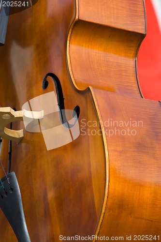 Image of Close-up view of the musical instrument.