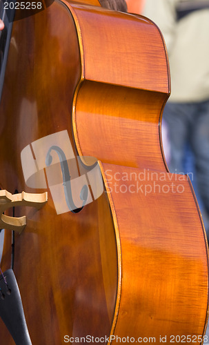 Image of Contrabass