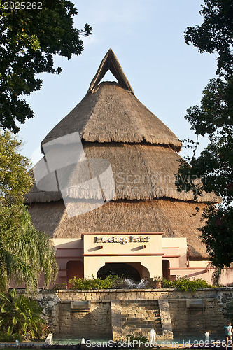 Image of Tropical house with straw roof