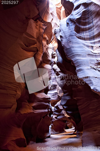 Image of Scenic canyon Antelope