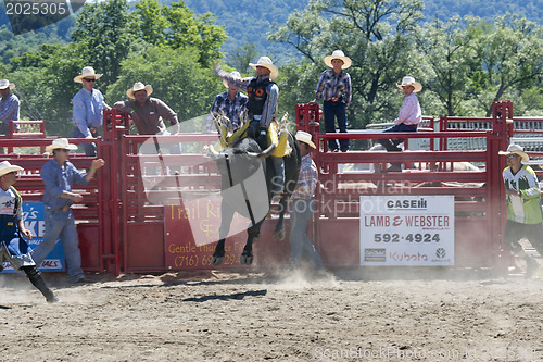 Image of Rodeo