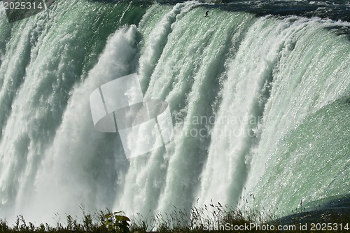 Image of The Niagara Falls