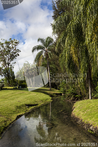 Image of Warm Mineral Springs In North Port, Florida